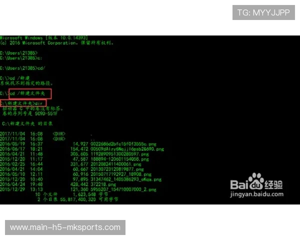 铁人三项队伍持续强化转换训练，整体推进速度提升
