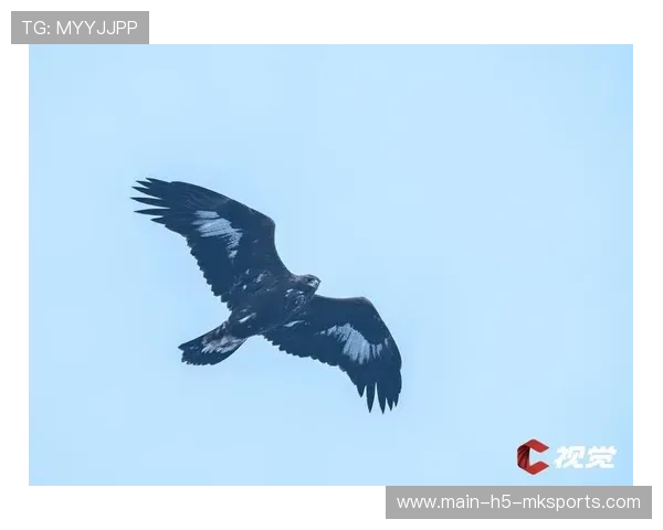 卡马文加后场带球突破两人夹击：从惊艳瞬间到可复制的技术逻辑